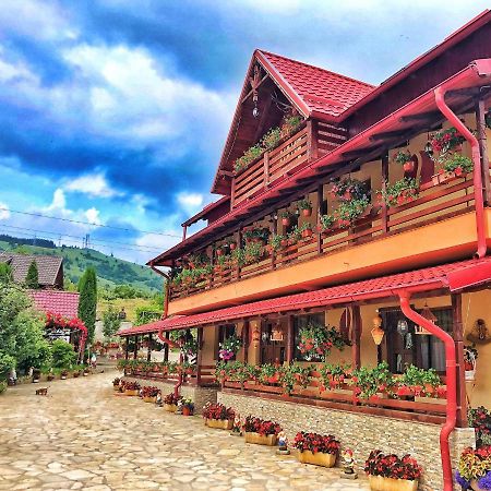 古拉哈莫卢洛伊 Casa Boico酒店 外观 照片