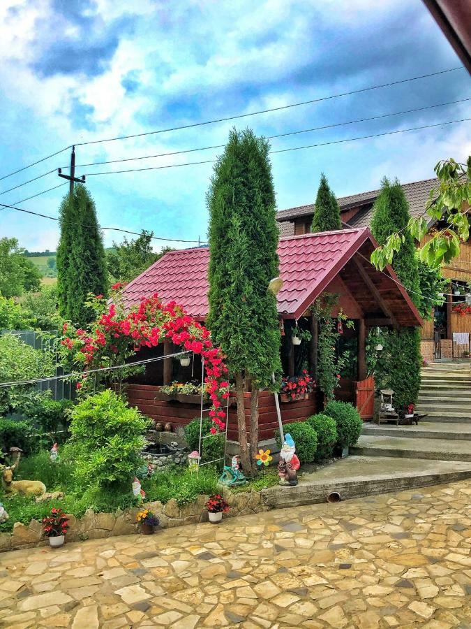 古拉哈莫卢洛伊 Casa Boico酒店 外观 照片
