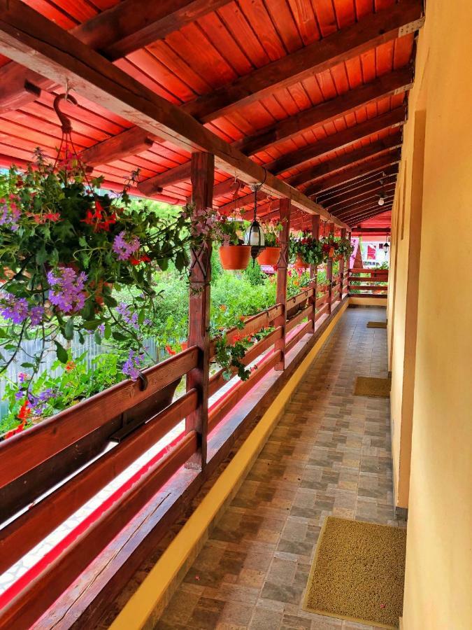 古拉哈莫卢洛伊 Casa Boico酒店 外观 照片