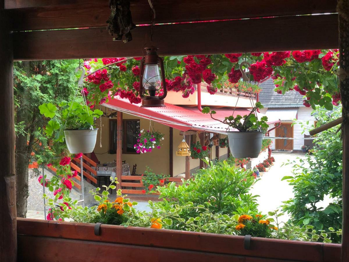 古拉哈莫卢洛伊 Casa Boico酒店 外观 照片