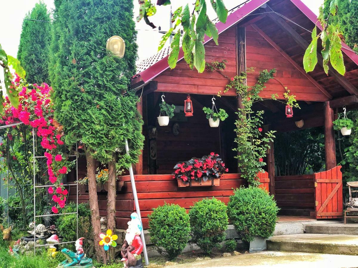 古拉哈莫卢洛伊 Casa Boico酒店 外观 照片