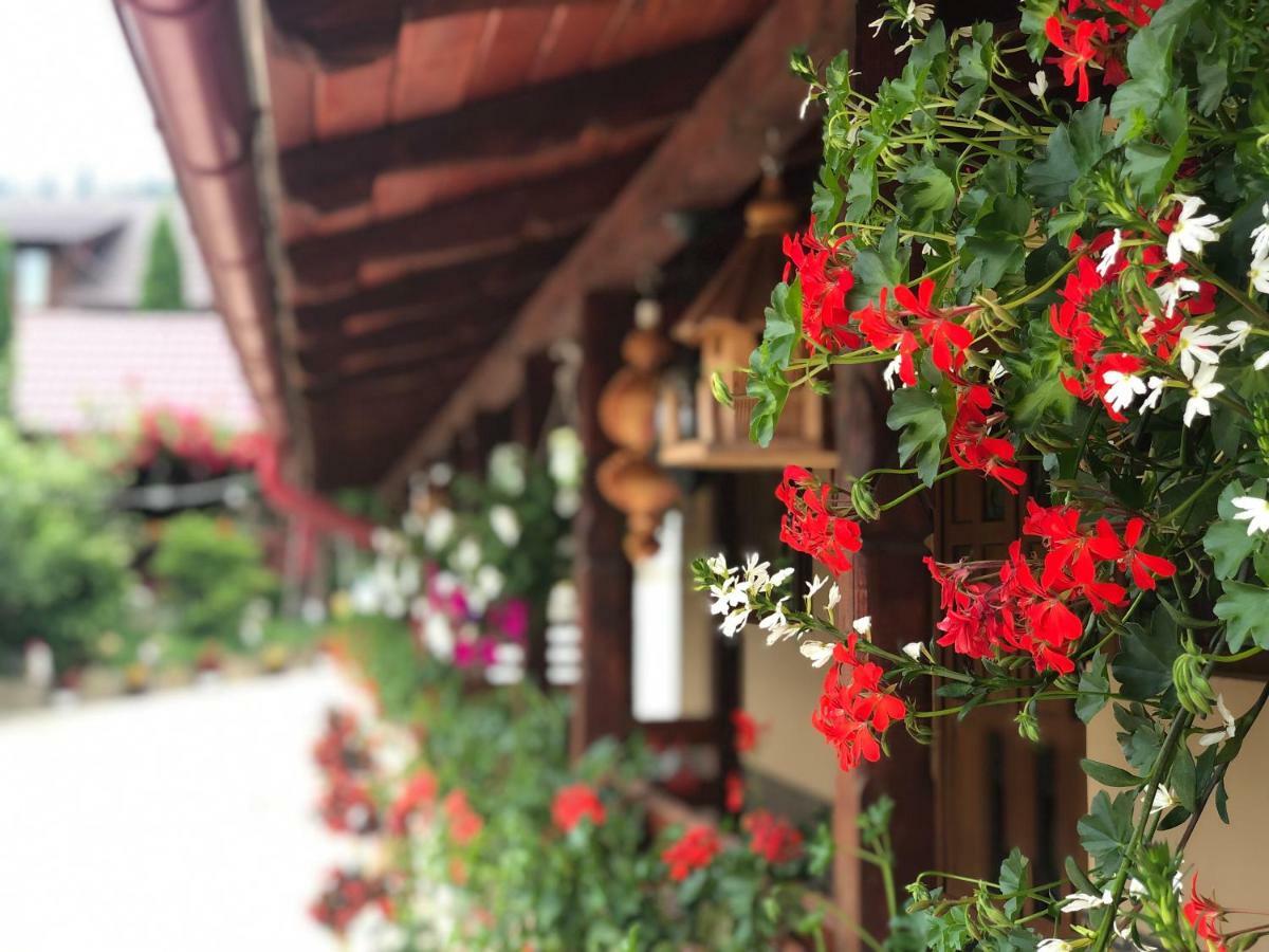 古拉哈莫卢洛伊 Casa Boico酒店 外观 照片