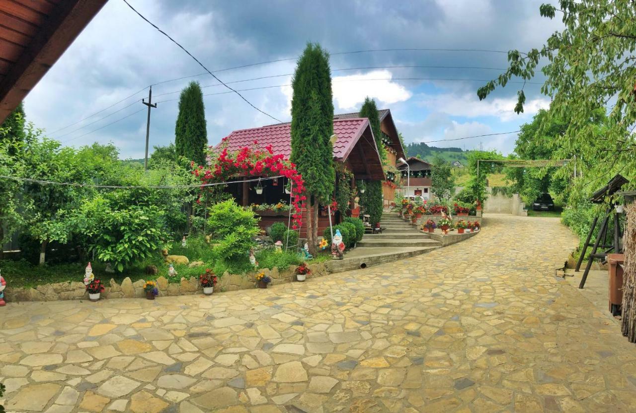 古拉哈莫卢洛伊 Casa Boico酒店 外观 照片